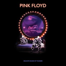 DVD PINK FLOYD – DELICATE SOUND OF THUNDER Restored Re-Edited Remixed BRD