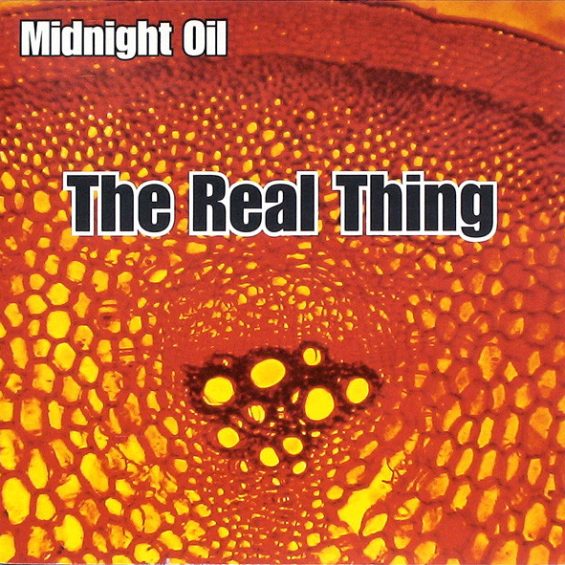 CD MIDNIGHT OIL-The Real Thing