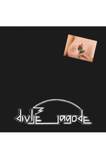 LP DIVLJE JAGODE-DIVLJE JAGODE