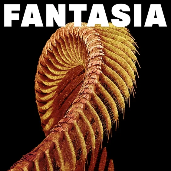 LP SLIFT – FANTASIA