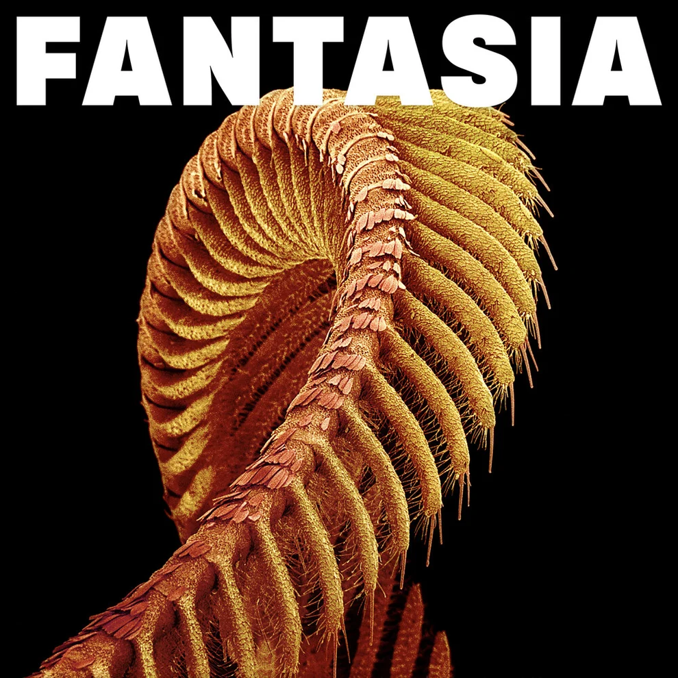 LP SLIFT – FANTASIA